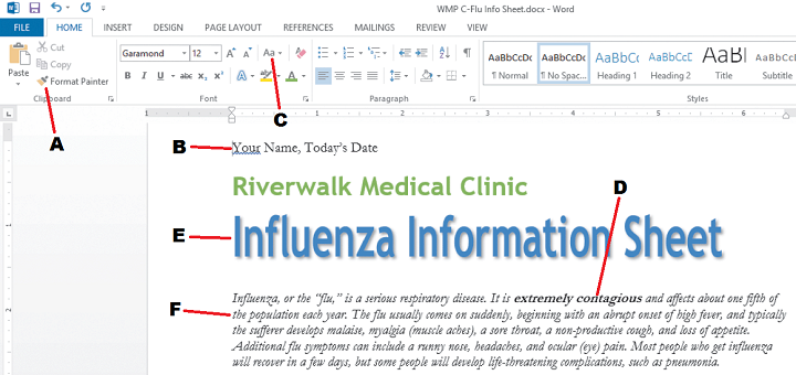   In the accompanying figure, which label shows text formatted with a font effect? A)  F B)  E C)  D D)  B
