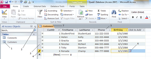   Item 7 in the figure above is the ____. A)  record selector box B)  customers table tab C)  navigation pane D)  focus