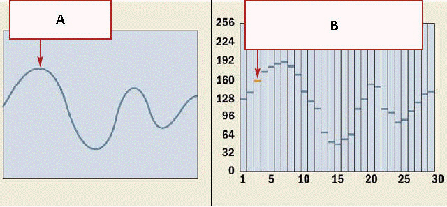   In the figure above, the type of sound wave indicated by A is ____________________.