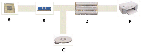   In the accompanying figure, the microprocessor is shown in picture B .