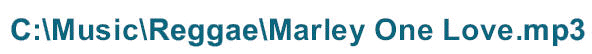   In the figure above, Music is an example of a ____. A)  drive B)  primary folder C)  secondary folder D)  file name