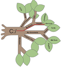   In the tree structure storage metaphor shown in the above figure, the leaves at the end of the branches represent ____. A)  the root directory B)  folders C)  files D)  drives