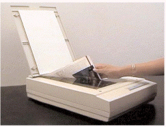   The item featured in the figure above creates vector graphics.