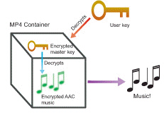   The figure above shows how ____ works. A)  FairPlay B)  Vingo C)  Zune D)  TrackManager
