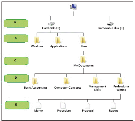 <strong> In the accompanying figure, the box marked ____ indicates the location of the root directory.</strong> A) A B) B C) D D) E