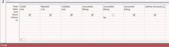   In the accompanying figure, which field represents a calculated field? A)  Visit ID B)  Invoice Amt C)  Late Fee D)  Date of Visit