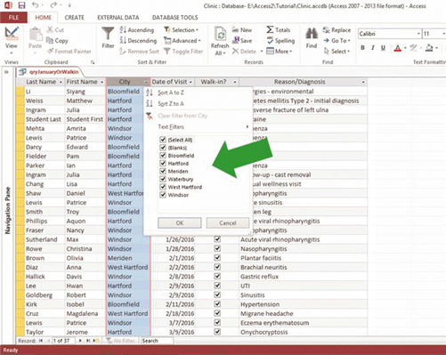   In the accompanying figure, the ____ for the current field is/are indicated in the box designated by the arrow. A)  data options B)  filter choices C)  auto text D)  sort option