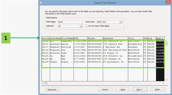   In the accompanying figure, arrow number one indicates ____ for the data being imported into Access. A)  the field names B)  data delimiters C)  data type D)  skipped fields