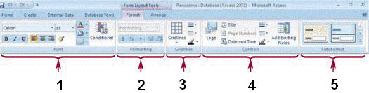   With a split form when the datasheet is active the selected option in the group marked ____ in the accompanying figure applies to every field value in the datasheet. A) 1 B) 2 C) 3 D) 4