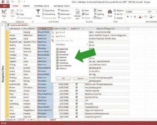   In the accompanying figure, the ____ for the current field is/are indicated in the box designated by the arrow. A)  data options B)  filter choices C)  auto text D)  sort option