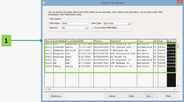   In the accompanying figure, the data enclosed in the green rectangle are data imported from a CSV file that have been ____ by commas. A)  ordered B)  structured C)  delimited D)  defined
