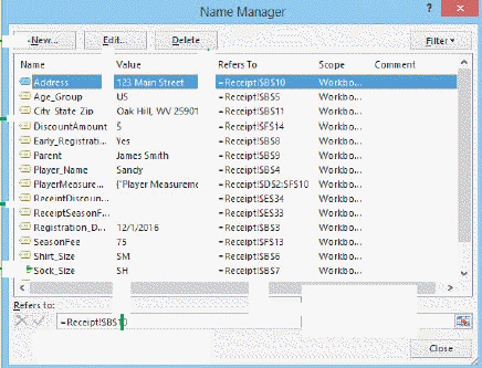   In the accompanying figure, clicking the New button opens the New _____ dialog box. A)  Name B)  Macro C)  Label D)  Range