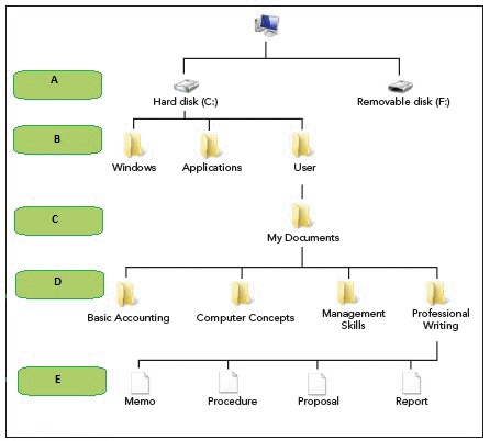   In the accompanying figure, the box marked ____ indicates the location of the root directory. A)  A B)  B C)  D D)  E