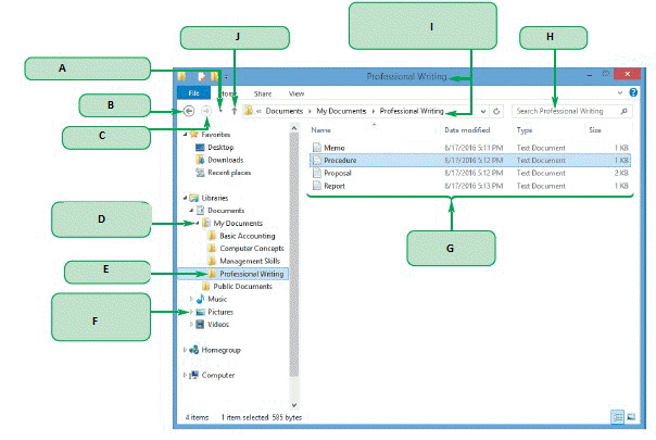   In the accompanying figure, the items pointed to by Box G are ____. A)  folders B)  subfolders C)  files D)  directories