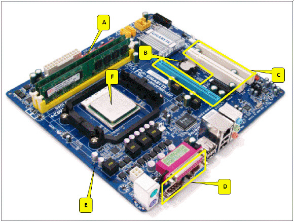   Referring to the accompanying figure, which of the following callouts points to the slots for expansion cards? A)  D B)  C C)  B D)  A