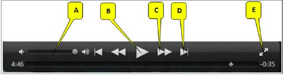   Referring to the accompanying figure, which of the following callouts points to the  full screen display  icon? A)  B B)  C C)  D D)  E