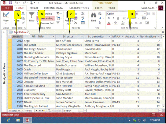 Case Based Critical Thinking Questions Case 17-1 Maxwell has developed a Movies database. He presented his design to his class, and some of his listeners had questions. Here is one of the tables Maxwell showed to the audience.   Referring to the accompanying figure, James asks which of the columns is a primary key. Maxwell points to _____. A)  A B)  B C)  C D)  D