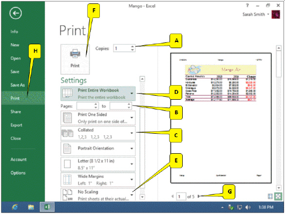   In the accompanying figure, which callout points to the option that allows you to change the default printing option, which prints the active worksheet? A)  A B)  B C)  C D)  D