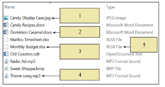   In the accompanying figure, item 2 is pointing to the ____. A)  music file B)  Microsoft Excel File C)  Microsoft Word file D)  file type