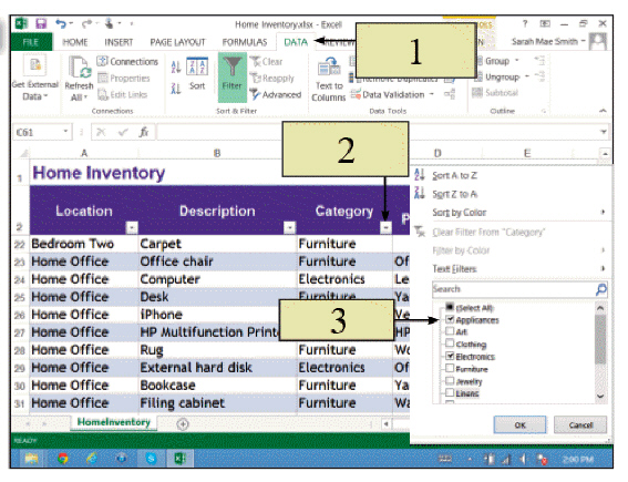   In the accompanying figure, the view indicated by item 3 allows you to ____. A)  redesign your spreadsheet B)  delete an entire spreadsheet C)  view each record displayed as a list D)  select criteria to use as the filter
