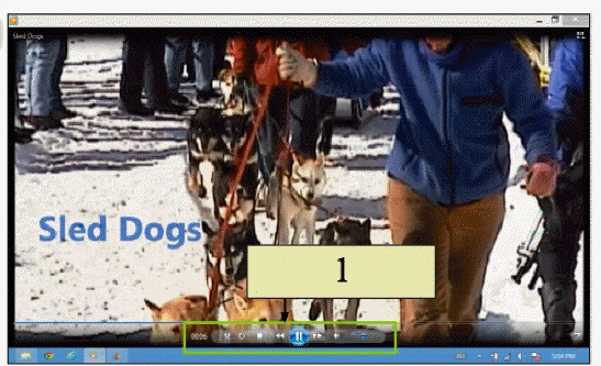   In the figure above, the buttons referred to by item 1 allow you to ____. A)  control the video playback B)  edit the video C)  create transitions for your video D)  save and open videos