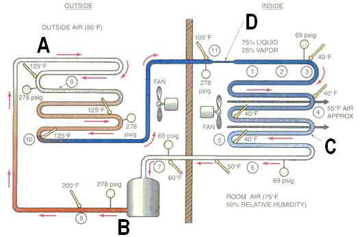 In the illustration below, identify the indicated components.    