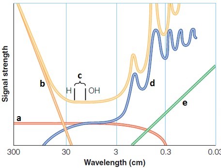   Examine the accompanying figure. Which wavelength range is representative of the noise from Earth's atmosphere? A)  a B)  b C)  c D)  d E)  e