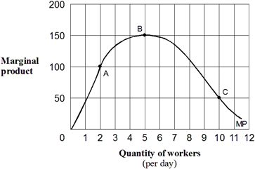 Exhibit 6-3  A marginal product curve   As shown in Exhibit 6-3, the marginal product of labor for the last worker hired when 2 workers are employed per day is: A)  50. B)  100. C)  150. D)  175.