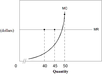 Exhibit 7-5  A firm's MR and MC curves   In Exhibit 7-5, a firm is currently producing 40 units of output. What would you advise this firm to do? A)  Shut down. B)  Increase output. C)  Stay at its current output. D)  Decrease output. E)  Decrease price.