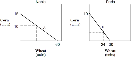 Exhibit 21-1  Production possibilities curves   In Exhibit 21-1, the production possibilities curves of wheat and corn for Nabia and Pada are presented. In Nabia the cost of producing one more unit of corn is equal to: A)  4 units of wheat. B)  4 units of corn. C)  1/4 unit of wheat. D)  15 units of wheat. E)  60 units of wheat.