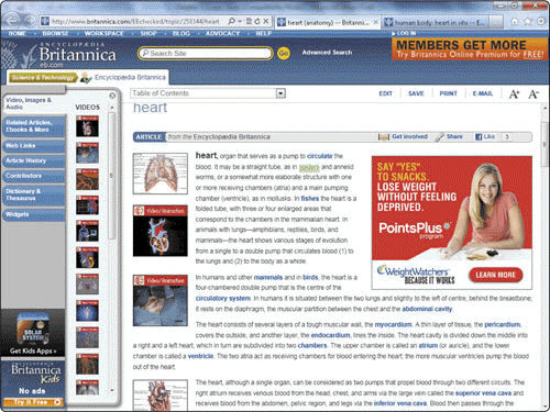   The application shown in the accompanying figure is an example of an interactive ____ encyclopedia. A)  multitude B)  multidisciplinary C)  multifunction D)  multimedia