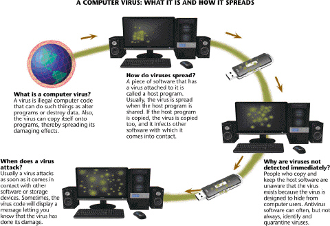   Viruses like those described in the accompanying figure commonly infect computers through e-mail attachments.