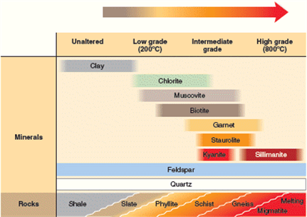   The accompanying figure represents the metamorphic grade of shale. Explain the figure in terms of changes in mineral assemblage with increasing metamorphism.