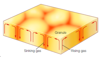   Figure 8-1 What process on the Sun's photosphere does this figure (Figure 8-1)  represent? A)  solar cycle B)  sunspot cycle C)  convection currents D)  magnetic field shifts E)  differential rotation