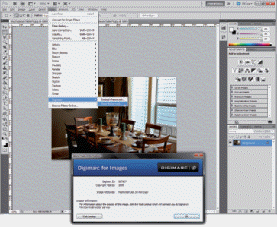   A ____ like the one used in the accompanying figure can be read with Adobe Photoshop or a proprietary reader. A) digital patent B) digital watermark C) digital copyright D) digital trademark