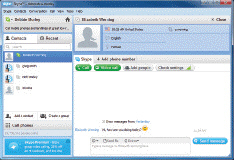   The program in the accompanying figure allows you to ____. A)  search the Web B)  blog C)  instant message and video chat D)  upload databases to share with other users