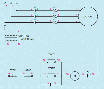 Figure 8-4         What type of diagram is shown in the accompanying figure? What are the numbers which are shown called?