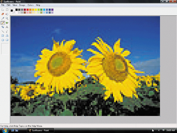   Individual ____ are visible in a zoomed bitmap image, as shown in the accompanying figure. A)  colors B)  pixels C)  shapes D)  lines