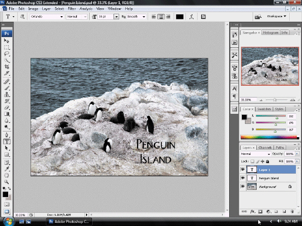 Some ____________________ software packages contain features that allow you to create and edit horizontal or vertical text as part of an image, as shown in the accompanying figure.