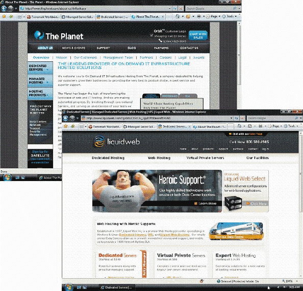   Some Web hosting companies, such as those illustrated in the accompanying figure, cater to midsized to large e-commerce companies requiring a more sophisticated level of server support.