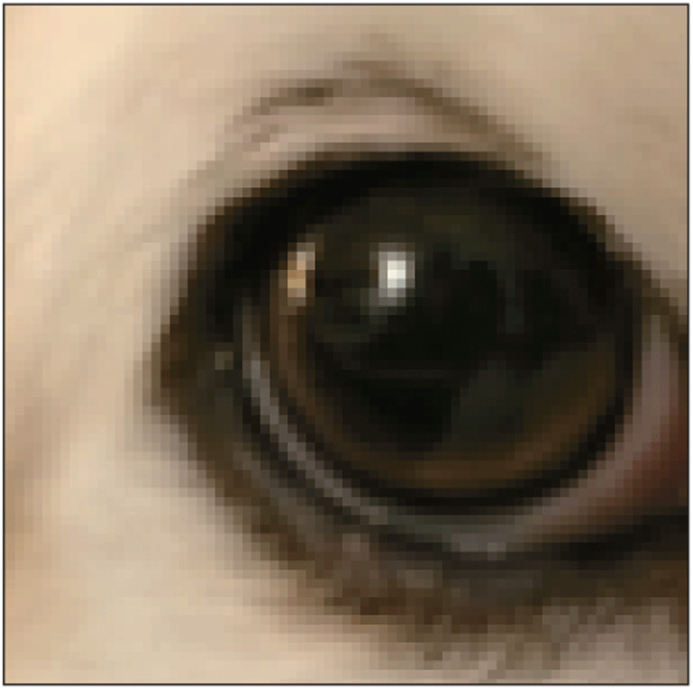     The above figure is an example of a vector image.