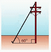 <strong>A 83-foot guy-wire makes an angle of 60 o ; with the ground and is attached to a telephone pole (see the figure). Find the distance from the base of the pole to the point on the pole where the wire is attached. Express your answer to the nearest tenth of a foot. </strong> A) 71.9 feet B) 69.6 feet C) 77.5 feet D) 73.1 feet